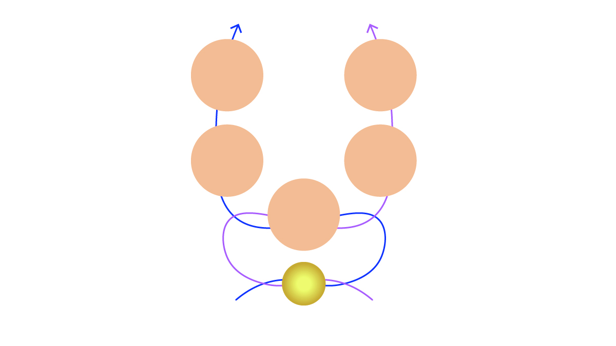 Bracciale con gemme e fiori di trottola Preciosa : Tappa 2 Bracciale con gemme e fiori di trottola Preciosa : Tappa 2