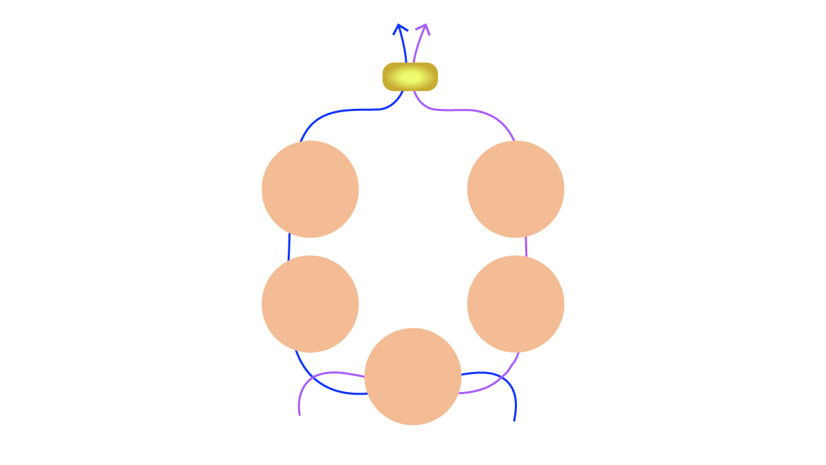 Bracciale con gemme e fiori di trottola Preciosa : Tappa 3 Bracciale con gemme e fiori di trottola Preciosa : Tappa 3
