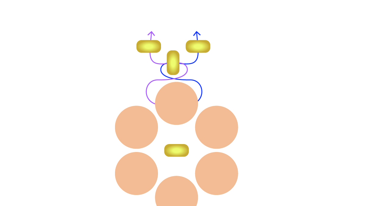 Bracciale con gemme e fiori di trottola Preciosa : Tappa 6 Bracciale con gemme e fiori di trottola Preciosa : Tappa 6