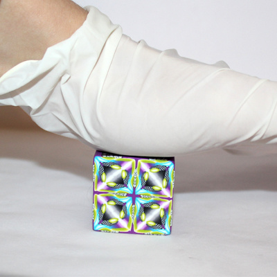 rduction_cane3 rduction_cane3