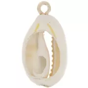 Pendente in conchiglia Cauri 21 mm naturale - Dorato x1