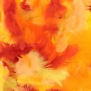 Piume colorate 8 a 12 cm per bijoux e decorazione DIY - Giallo/arancione x10gr