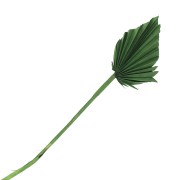 Foglia di palma secca verde per creazione DIY x1 stelo