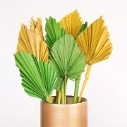 Foglia di palma secca verde per creazione DIY x1 stelo