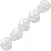 Perle barocche irregolari 10 mm imitazione perla d'acqua dolce - Bianco perlato x10