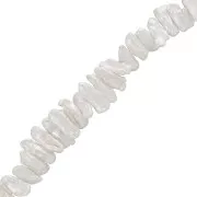Perle irregolari d'acqua dolce Biwa da 17 mm a 23 mm - Grado AA Bianco iridescente x6