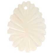 Ciondoli a forma di foglia ricurva in madreperla 30x22 mm - Naturale x2