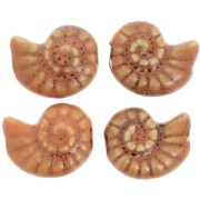 Perla conchiglia in ceramica 20x16 mm - Terracotta - Puntinata nera x1