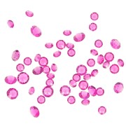 Pietre di cristallo sciolte in resina - Joblot Swarovski - da 1 a 6 mm - Fucsia x10g
