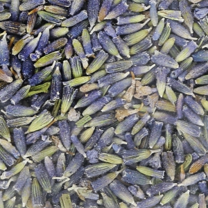 Fiori di lavanda essiccati per sapone x4g