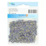 Fiori di lavanda essiccati per sapone x4g