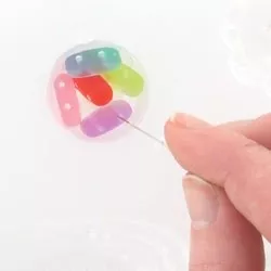 Fare delle inclusioni con resina usando uno stampo : Tappa 4 Fare delle inclusioni con resina usando uno stampo : Tappa 4