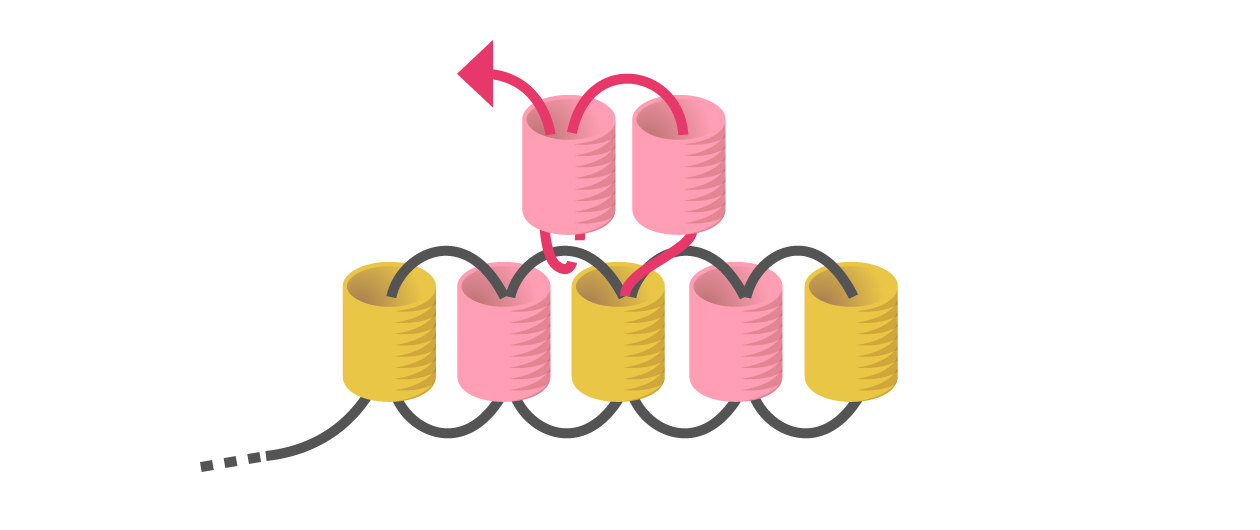 tisser une nouvelle rangée en brick stitch