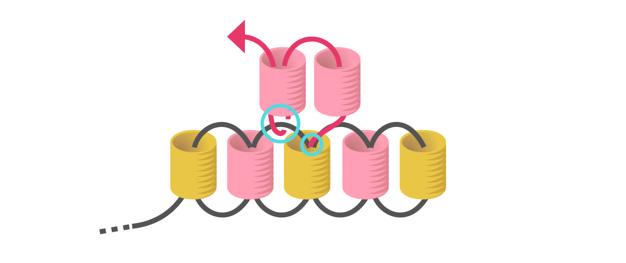augmentation en brick stitch