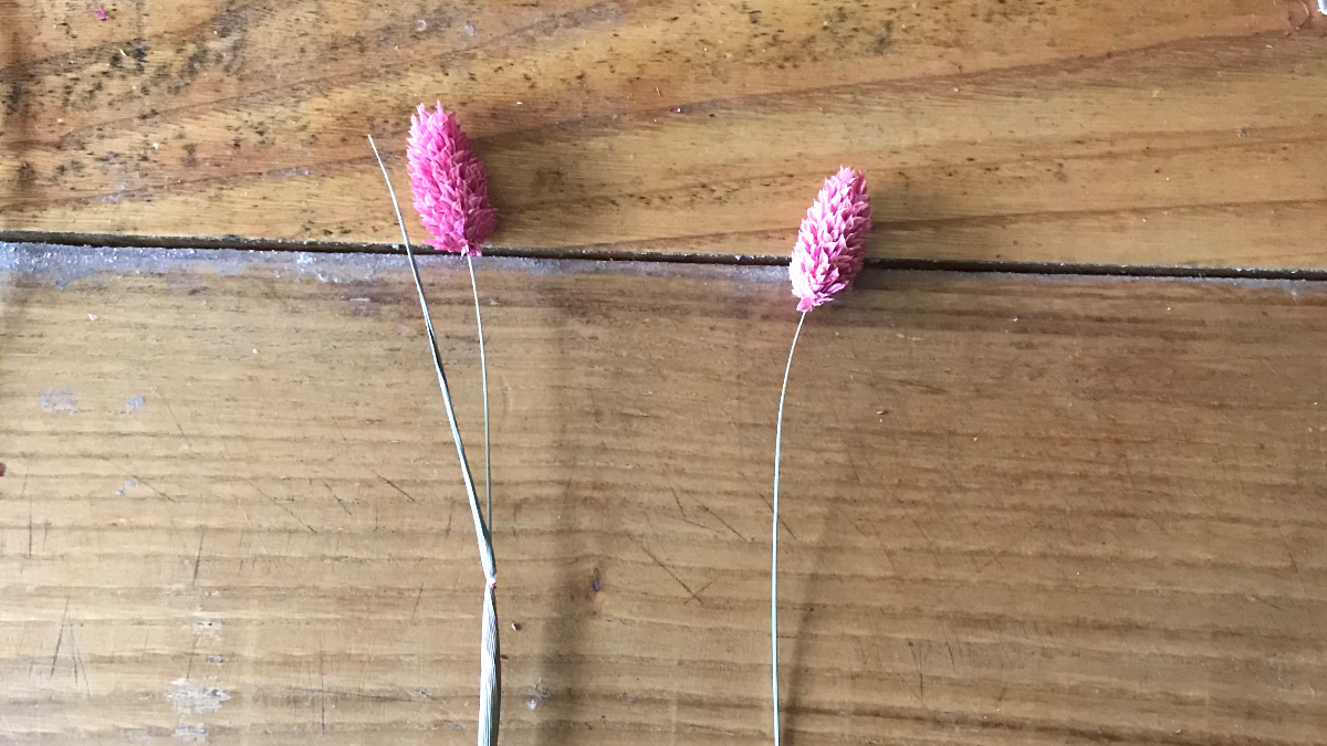 Decorazione bohémien fai da te - Corona di fiori secchi : Tappa 3 Decorazione bohémien fai da te - Corona di fiori secchi : Tappa 3