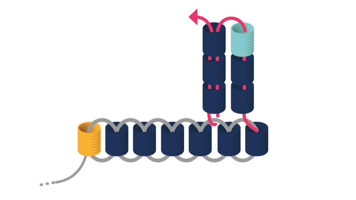 Orecchini Miyuki a triplo punto di fusione : Tappa 4 Orecchini Miyuki a triplo punto di fusione : Tappa 4