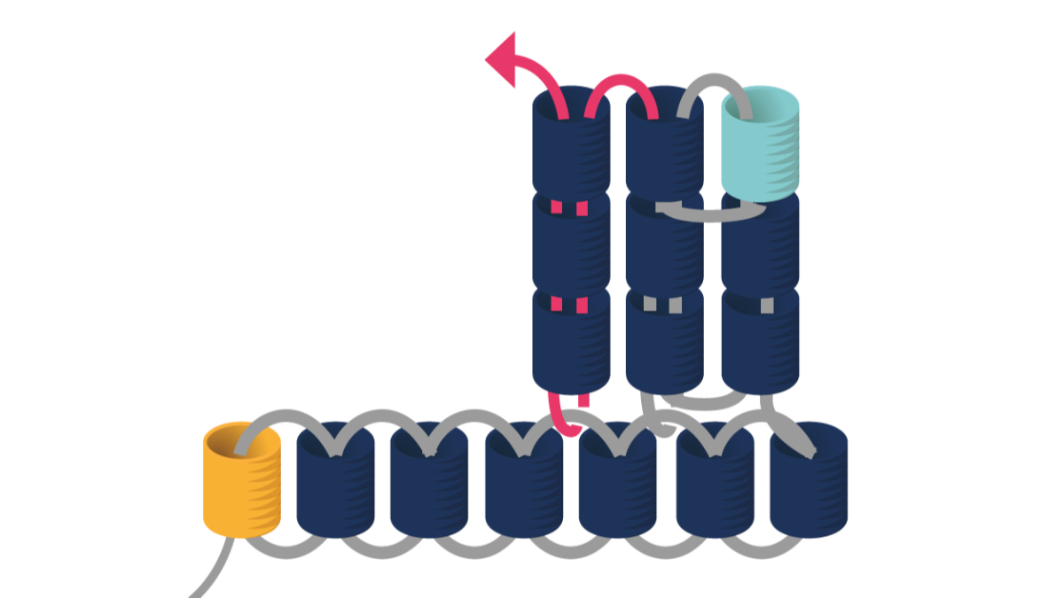 Orecchini Miyuki a triplo punto di fusione : Tappa 7 Orecchini Miyuki a triplo punto di fusione : Tappa 7