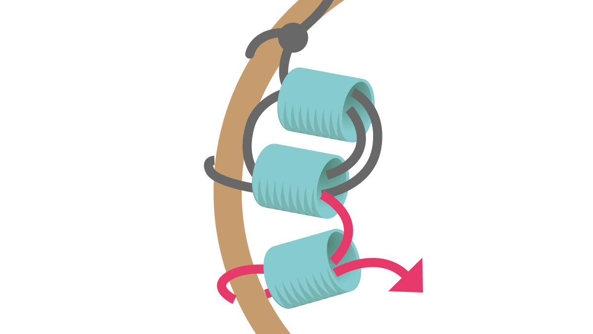 Collana Miyuki con ciondolo rotondo Brick Stitch : Tappa 3 Collana Miyuki con ciondolo rotondo Brick Stitch : Tappa 3