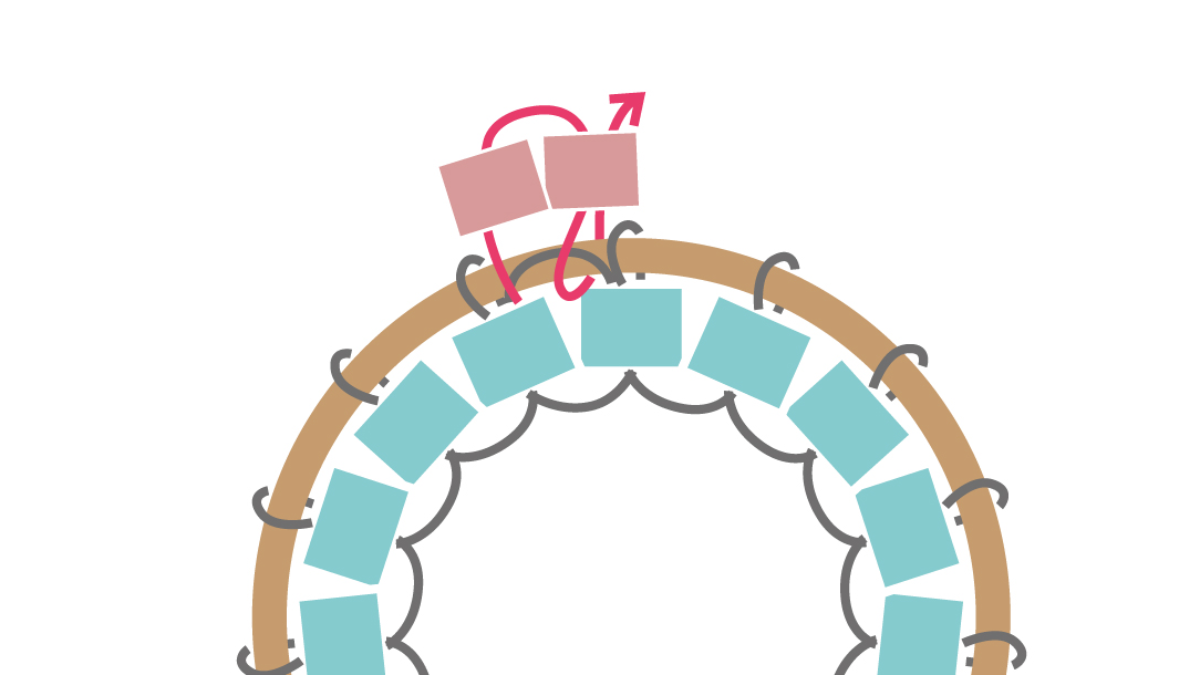 Collana Miyuki con ciondolo rotondo Brick Stitch : Tappa 6 Collana Miyuki con ciondolo rotondo Brick Stitch : Tappa 6