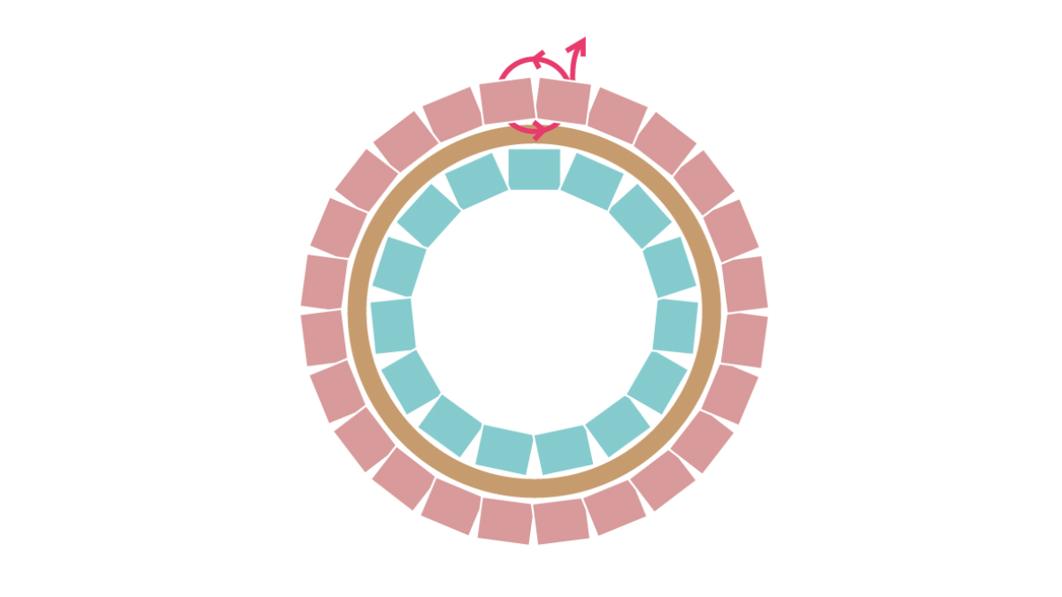 Collana Miyuki con ciondolo rotondo Brick Stitch : Tappa 7 Collana Miyuki con ciondolo rotondo Brick Stitch : Tappa 7