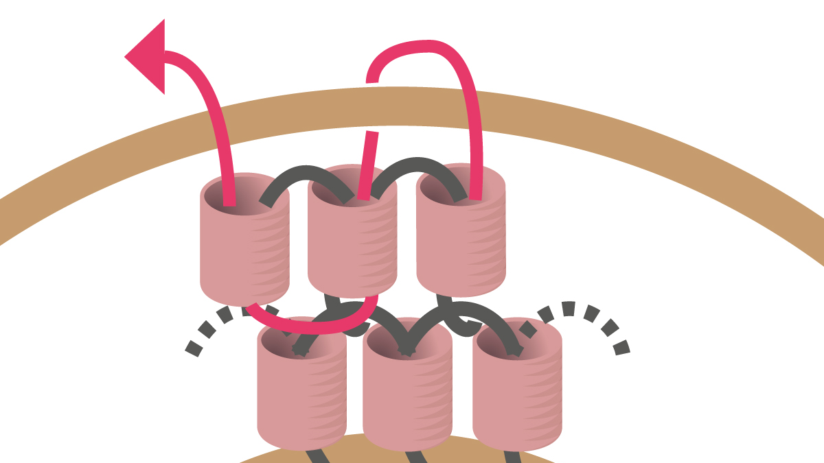 Collana Miyuki con ciondolo rotondo Brick Stitch : Tappa 9 Collana Miyuki con ciondolo rotondo Brick Stitch : Tappa 9