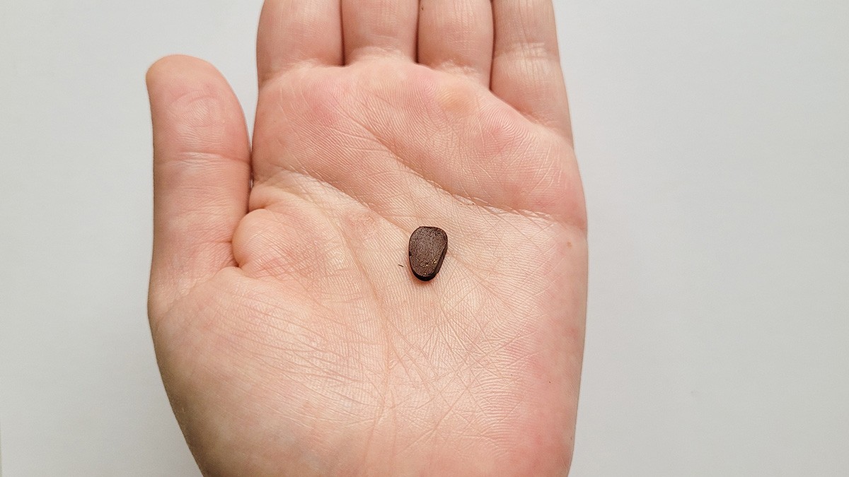 Orecchini a fiore in argilla polimerica placcata in oro : Tappa 7 Orecchini a fiore in argilla polimerica placcata in oro : Tappa 7