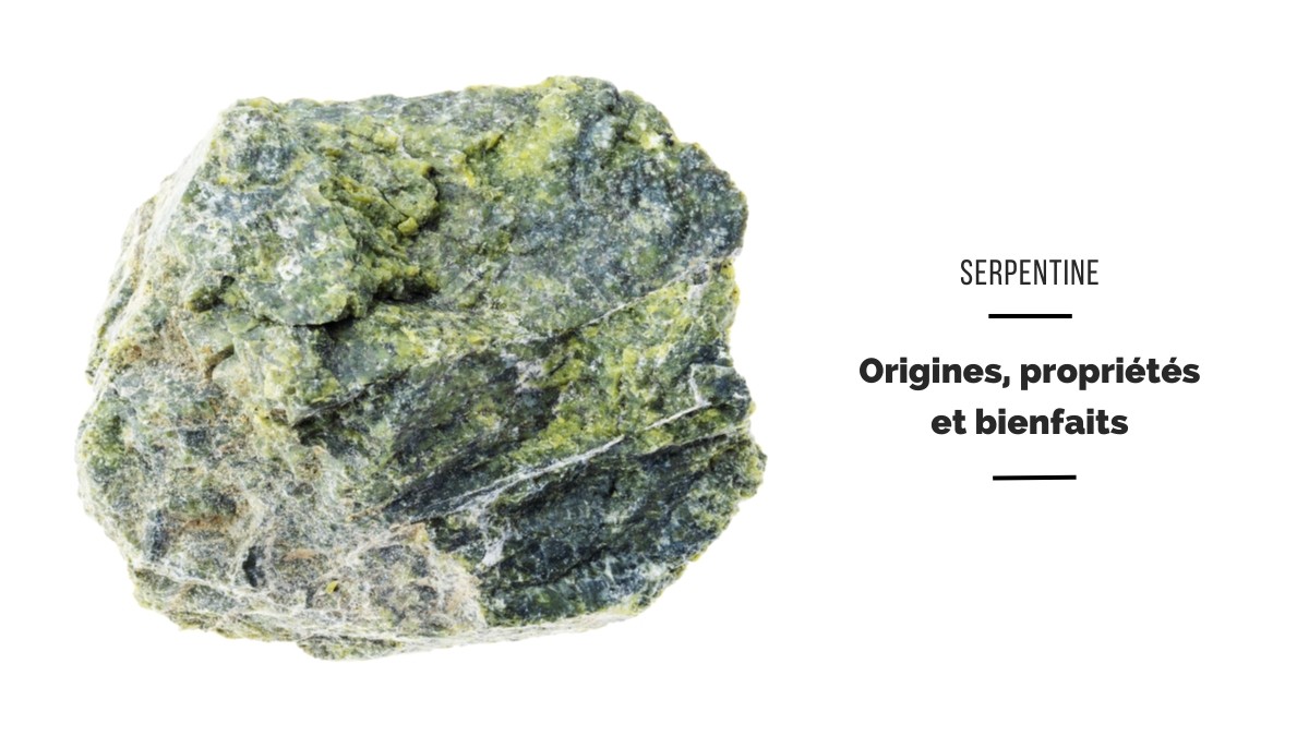 Serpentina - benefici, origini e proprietà Serpentina - benefici, origini e proprietà