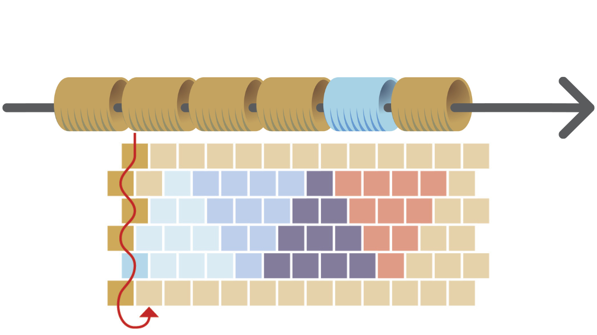 Bracciale a triangolo con Perle Miyuki 11/0 in coppia peyote : Tappa 2 Bracciale a triangolo con Perle Miyuki 11/0 in coppia peyote : Tappa 2