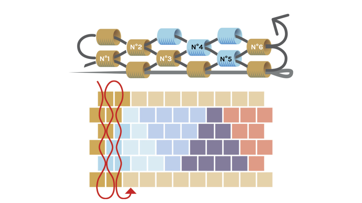 Bracciale a triangolo con Perle Miyuki 11/0 in coppia peyote : Tappa 5 Bracciale a triangolo con Perle Miyuki 11/0 in coppia peyote : Tappa 5